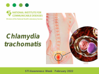Chlamydia-trachomatis.pdf